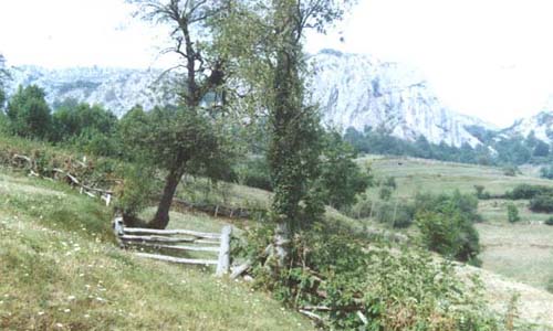 Valle de Caleao