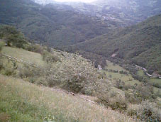 El Valle de Caleao