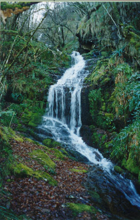 Cascadas de agua cristalina que alimentan el Molin de agua de Fontes Cabadas en Boal, Principado de Asturias